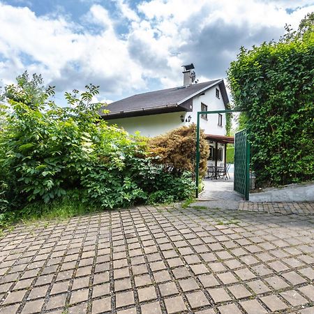Private Summer House With Swimming Pool, Beach Bar And Pit For Football And Volleyball Hvezdonice Zewnętrze zdjęcie