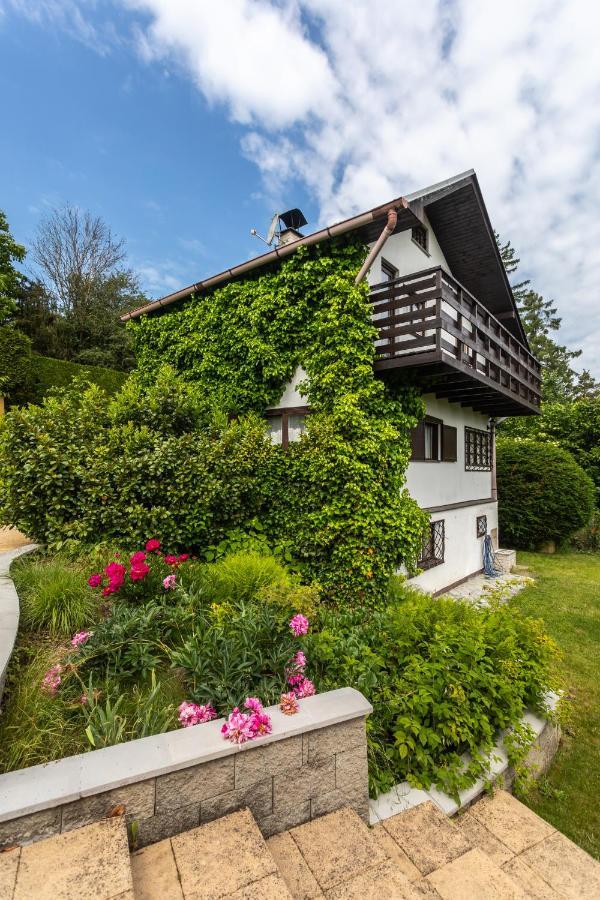 Private Summer House With Swimming Pool, Beach Bar And Pit For Football And Volleyball Hvezdonice Zewnętrze zdjęcie